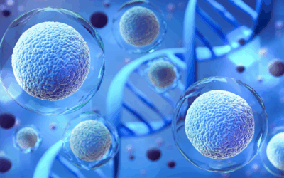 Exosomes vs. Stem Cells